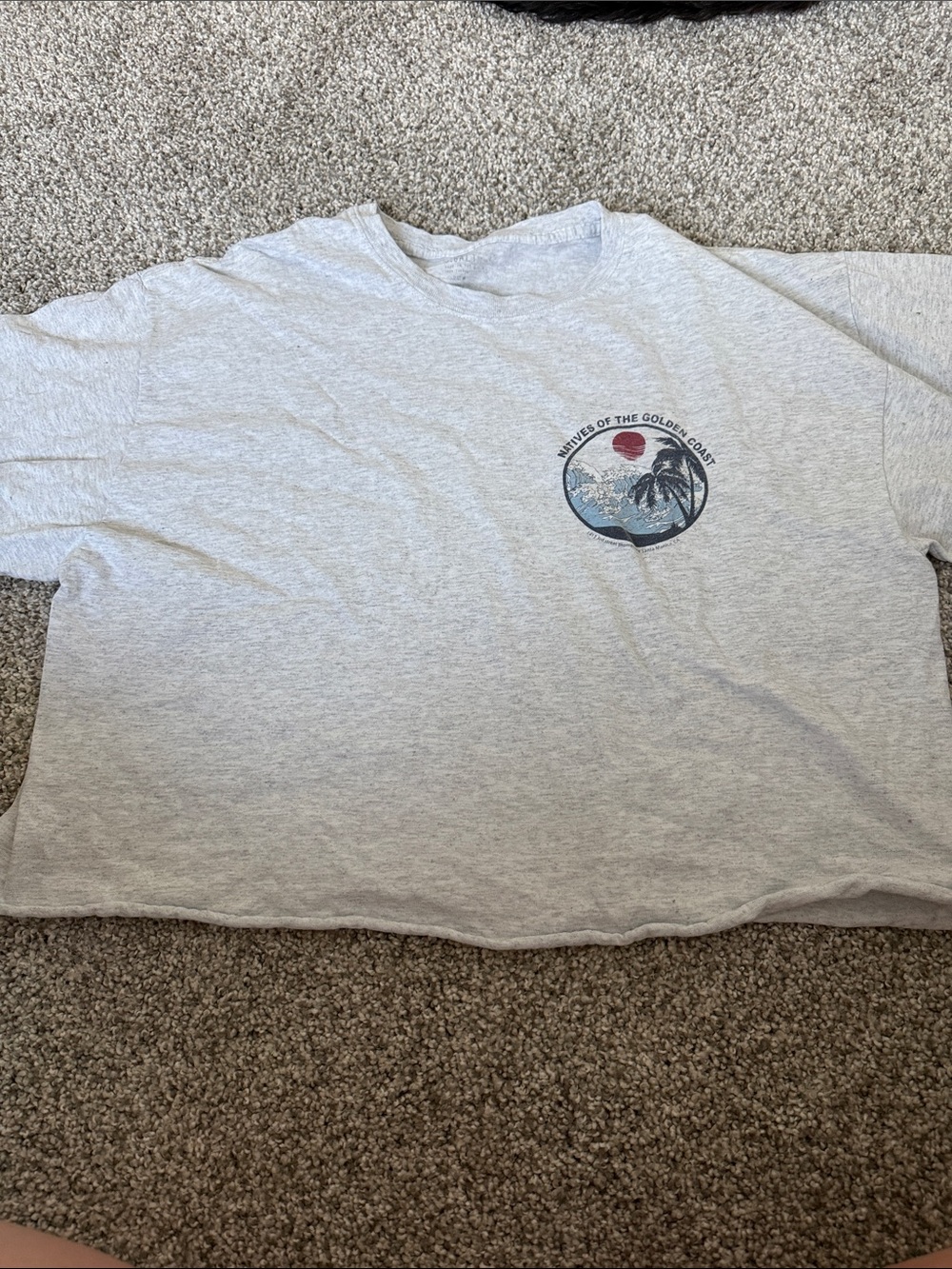 Brandy Melville Light Gray Coastal Graphic Tee
